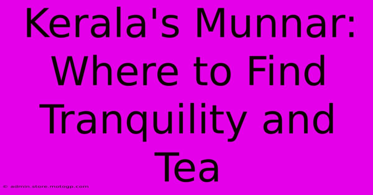 Kerala's Munnar: Where To Find Tranquility And Tea