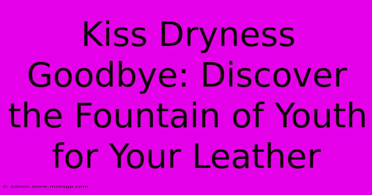 Kiss Dryness Goodbye: Discover The Fountain Of Youth For Your Leather