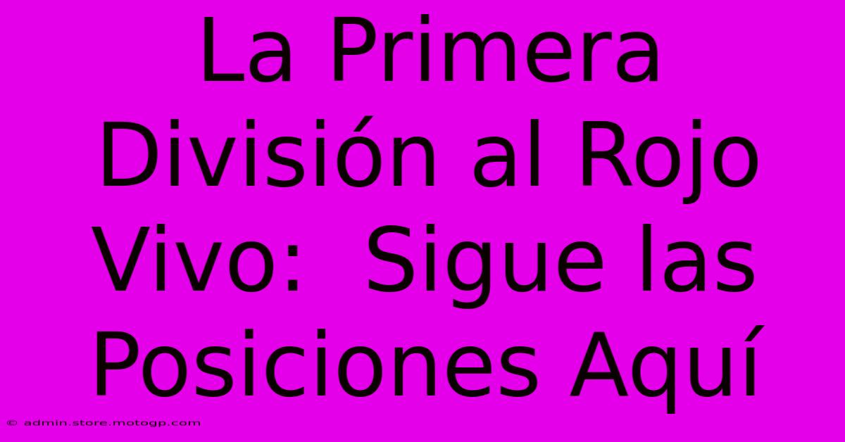 La Primera División Al Rojo Vivo:  Sigue Las Posiciones Aquí