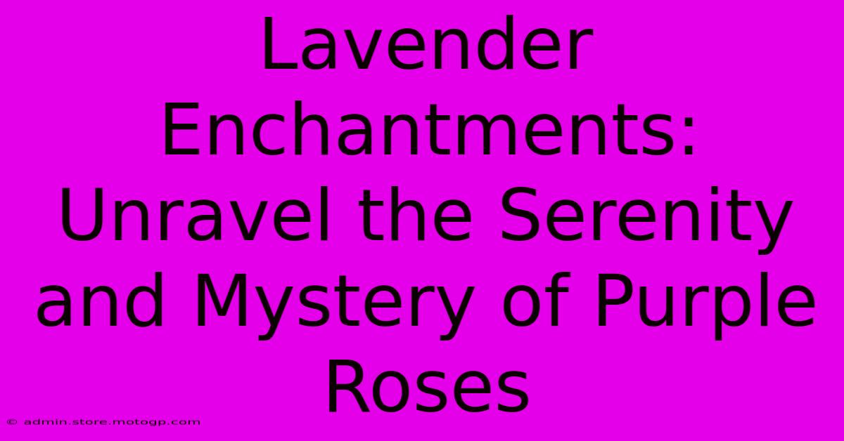 Lavender Enchantments: Unravel The Serenity And Mystery Of Purple Roses