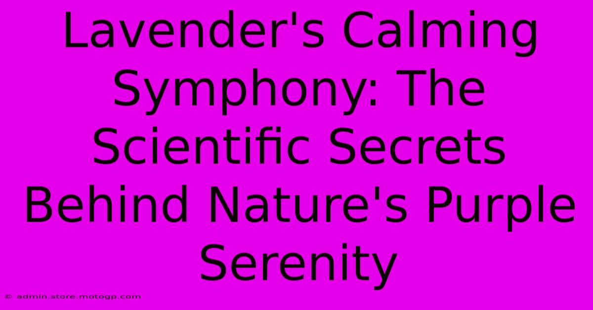 Lavender's Calming Symphony: The Scientific Secrets Behind Nature's Purple Serenity