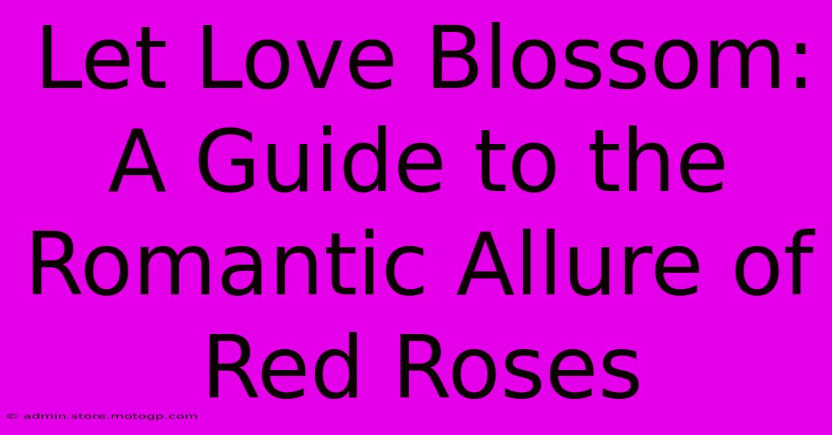 Let Love Blossom: A Guide To The Romantic Allure Of Red Roses