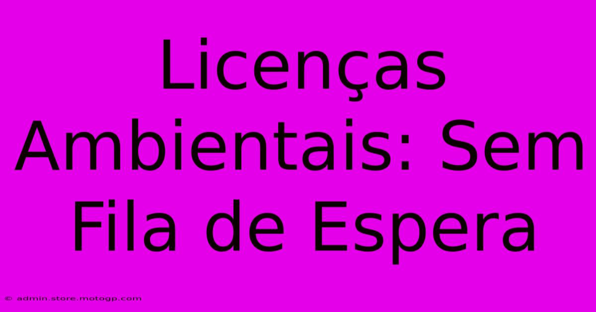 Licenças Ambientais: Sem Fila De Espera