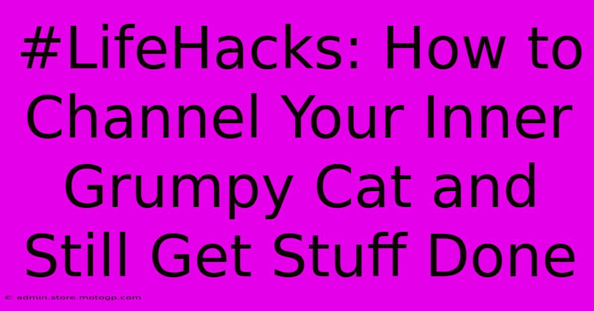 #LifeHacks: How To Channel Your Inner Grumpy Cat And Still Get Stuff Done