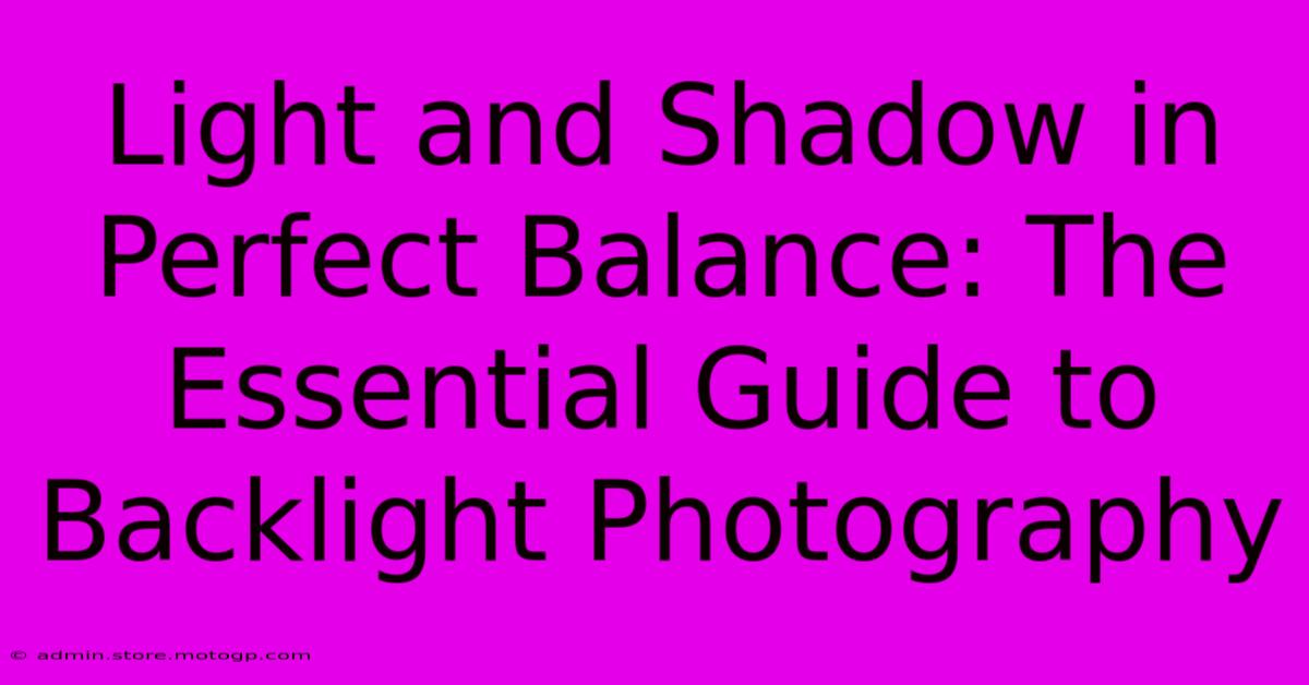 Light And Shadow In Perfect Balance: The Essential Guide To Backlight Photography