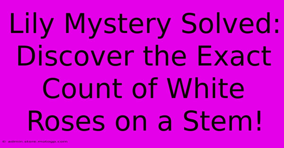 Lily Mystery Solved: Discover The Exact Count Of White Roses On A Stem!