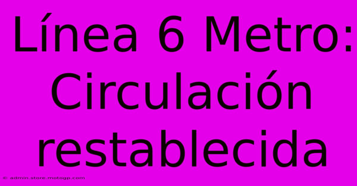 Línea 6 Metro: Circulación Restablecida