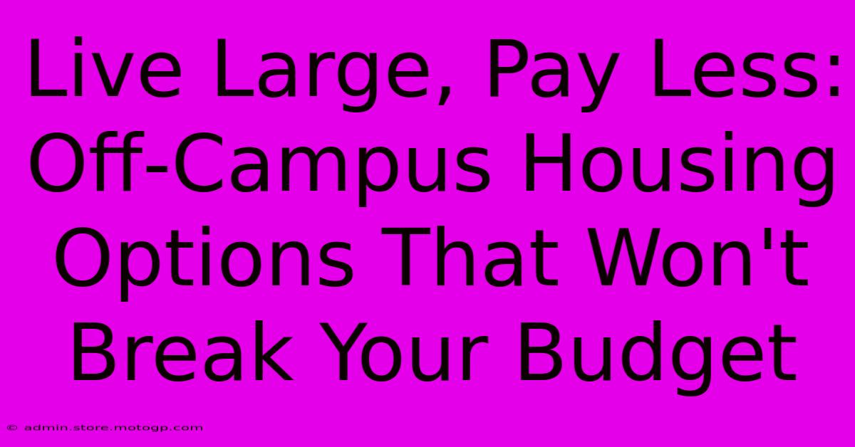 Live Large, Pay Less: Off-Campus Housing Options That Won't Break Your Budget