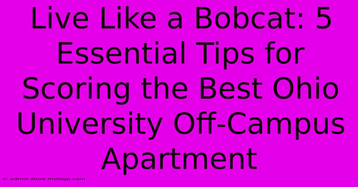 Live Like A Bobcat: 5 Essential Tips For Scoring The Best Ohio University Off-Campus Apartment