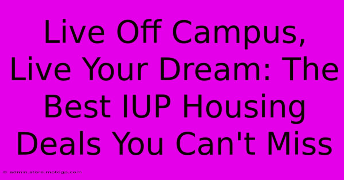 Live Off Campus, Live Your Dream: The Best IUP Housing Deals You Can't Miss