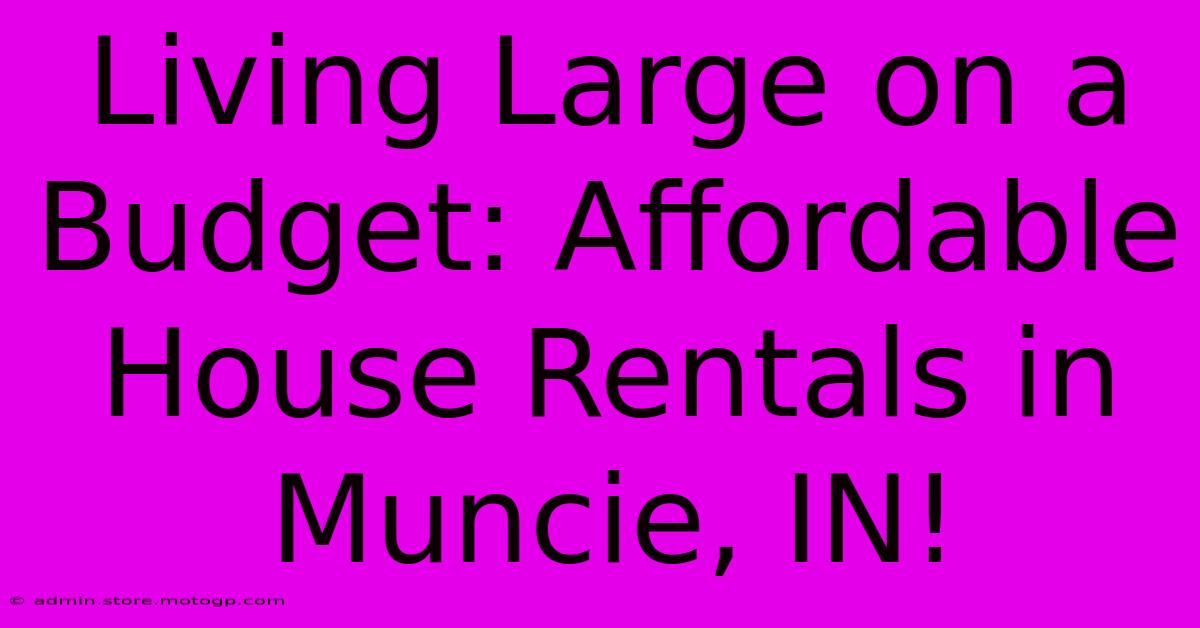 Living Large On A Budget: Affordable House Rentals In Muncie, IN!