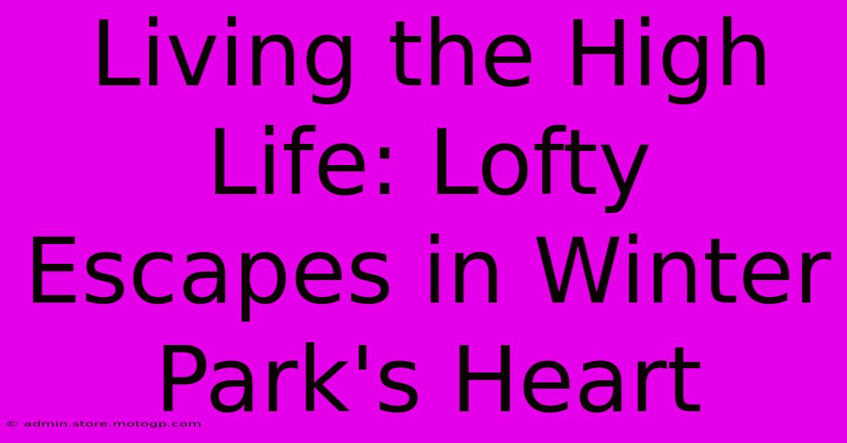 Living The High Life: Lofty Escapes In Winter Park's Heart