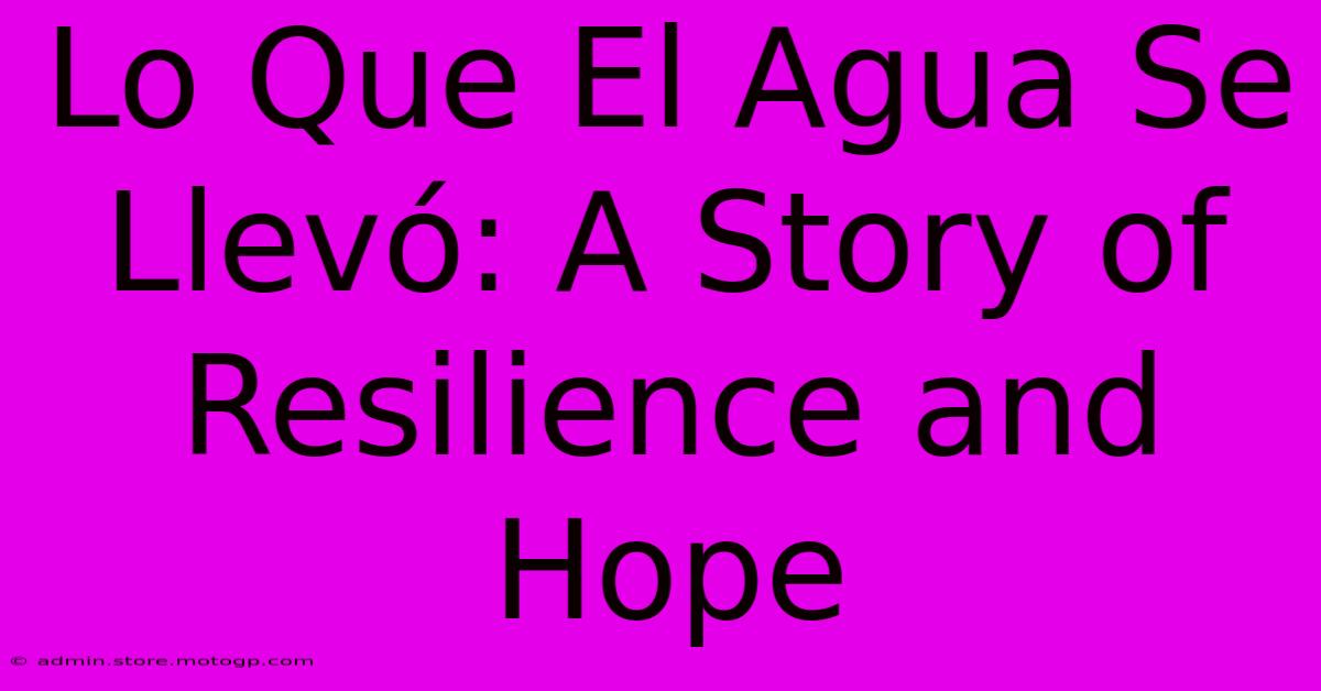 Lo Que El Agua Se Llevó: A Story Of Resilience And Hope