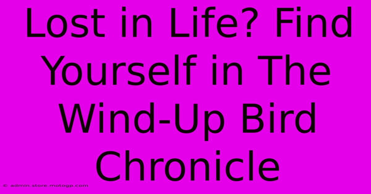 Lost In Life? Find Yourself In The Wind-Up Bird Chronicle