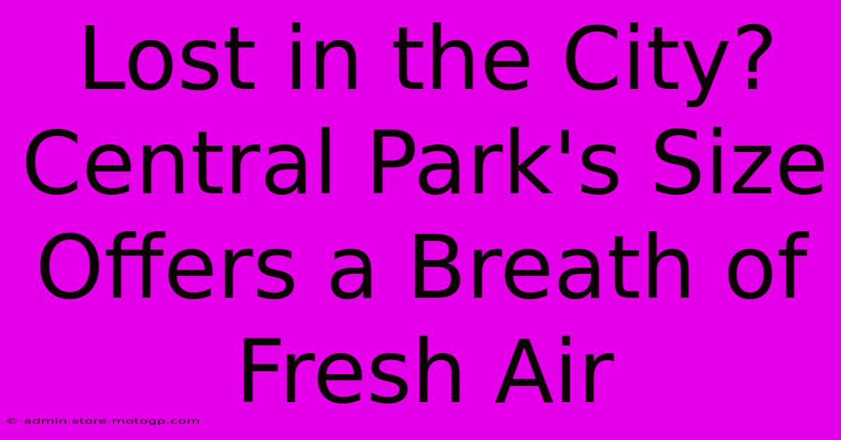 Lost In The City? Central Park's Size Offers A Breath Of Fresh Air