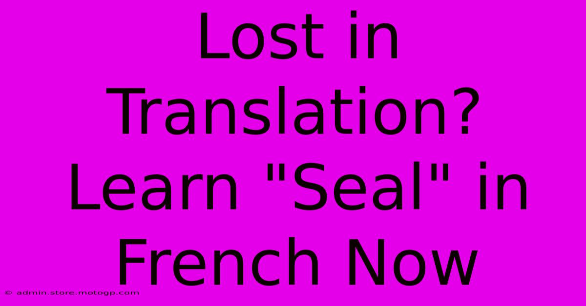 Lost In Translation? Learn 