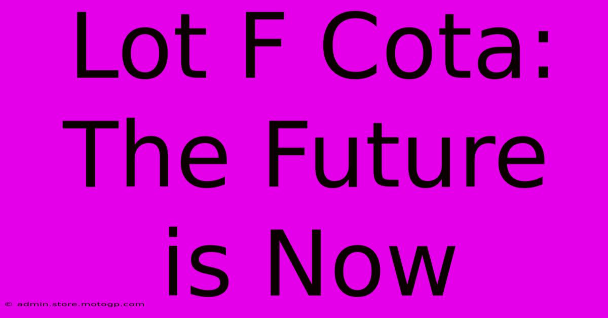 Lot F Cota: The Future Is Now