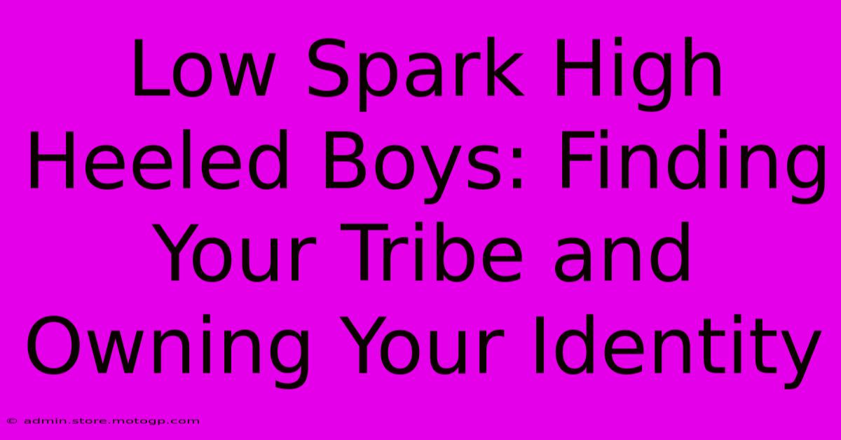 Low Spark High Heeled Boys: Finding Your Tribe And Owning Your Identity