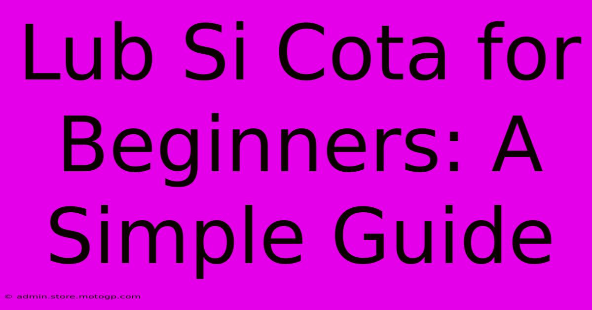 Lub Si Cota For Beginners: A Simple Guide