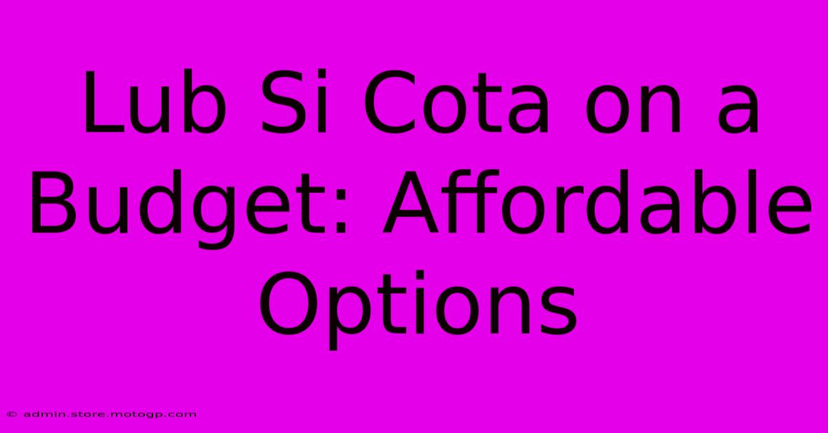 Lub Si Cota On A Budget: Affordable Options