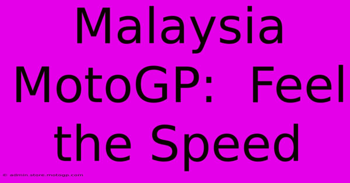 Malaysia MotoGP:  Feel The Speed