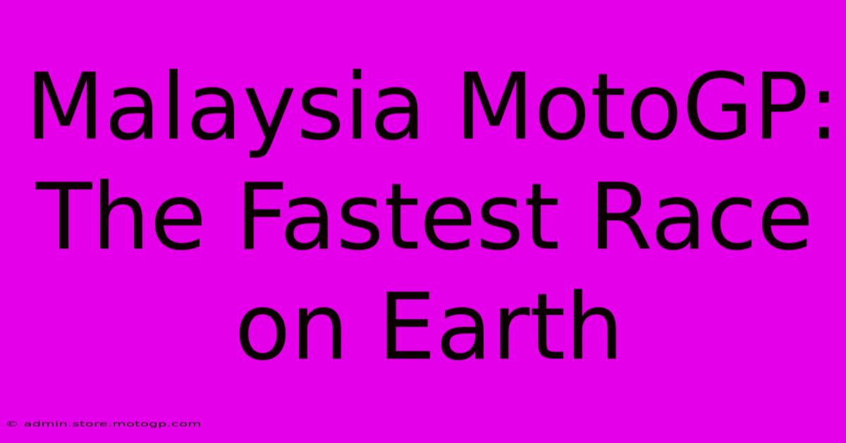 Malaysia MotoGP: The Fastest Race On Earth