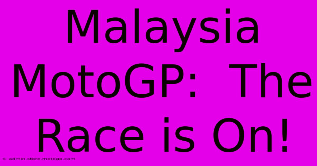 Malaysia MotoGP:  The Race Is On!