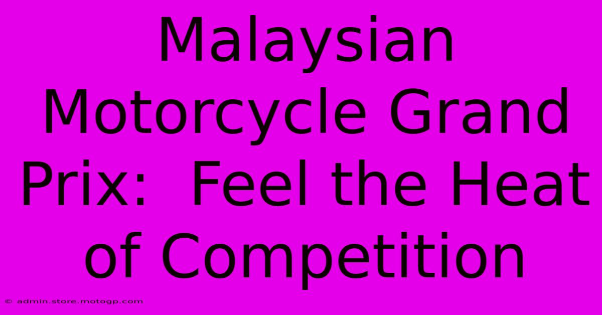 Malaysian Motorcycle Grand Prix:  Feel The Heat Of Competition