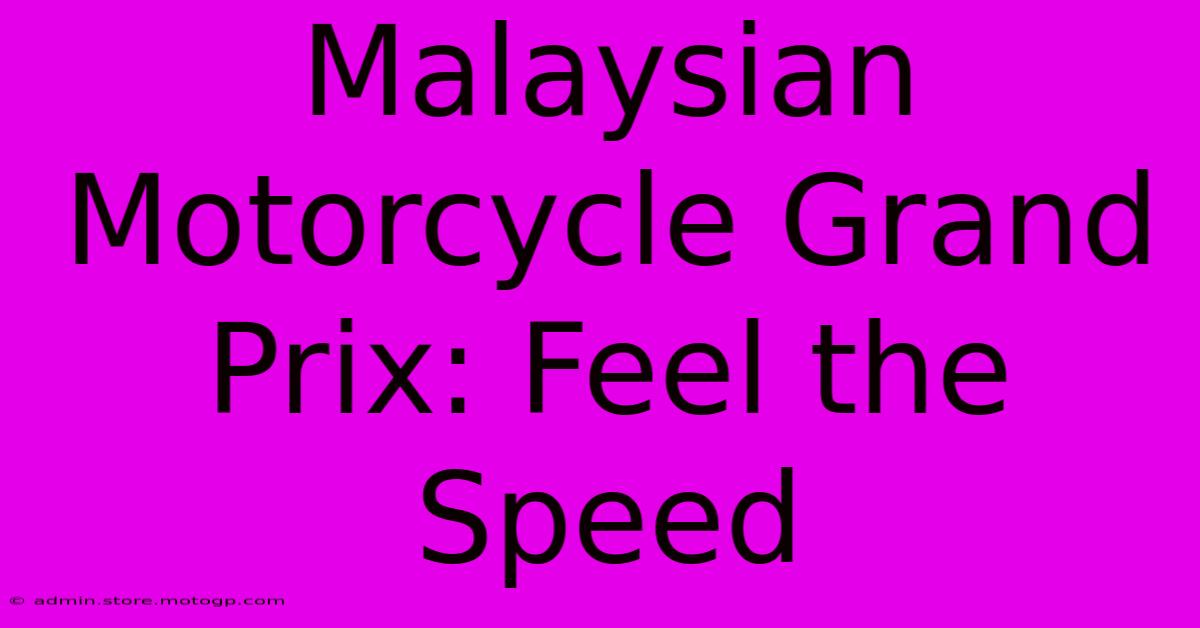 Malaysian Motorcycle Grand Prix: Feel The Speed