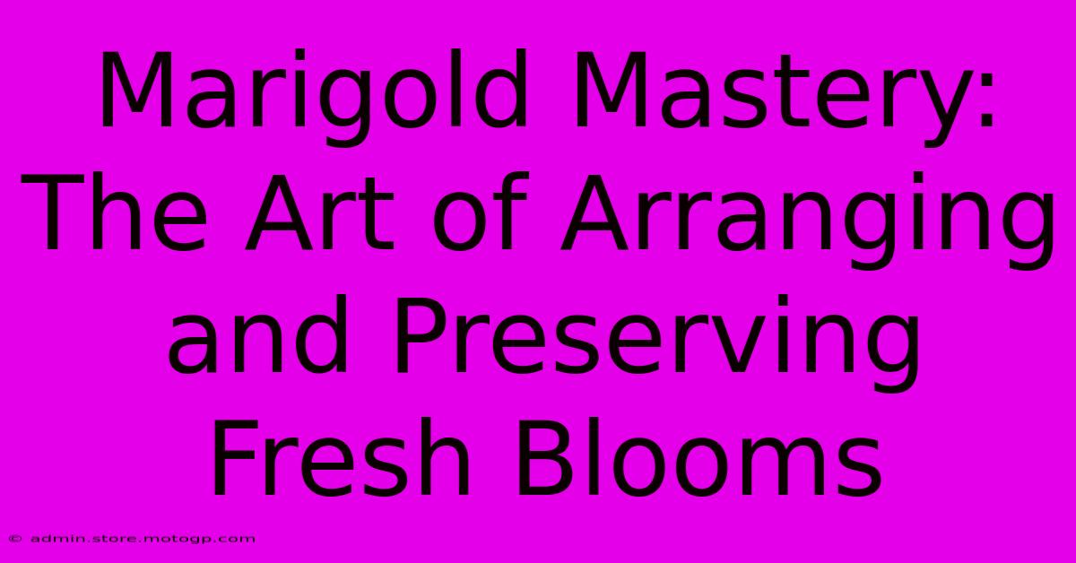 Marigold Mastery: The Art Of Arranging And Preserving Fresh Blooms