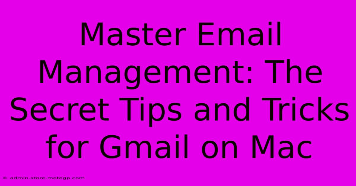 Master Email Management: The Secret Tips And Tricks For Gmail On Mac