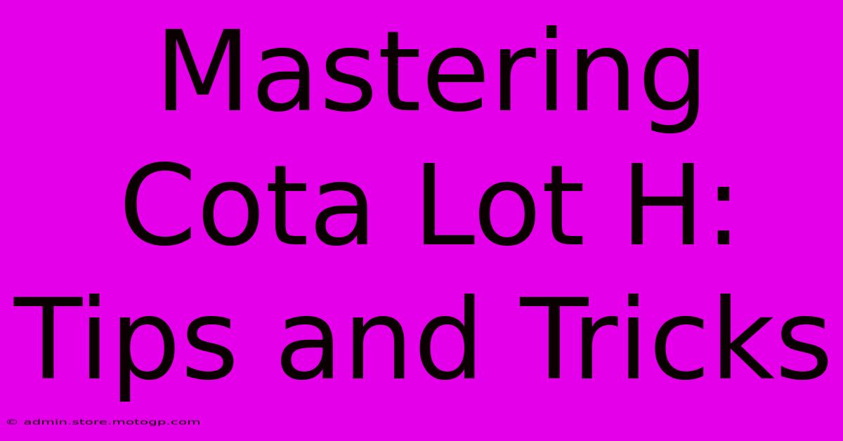 Mastering Cota Lot H: Tips And Tricks