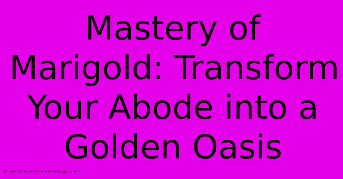 Mastery Of Marigold: Transform Your Abode Into A Golden Oasis