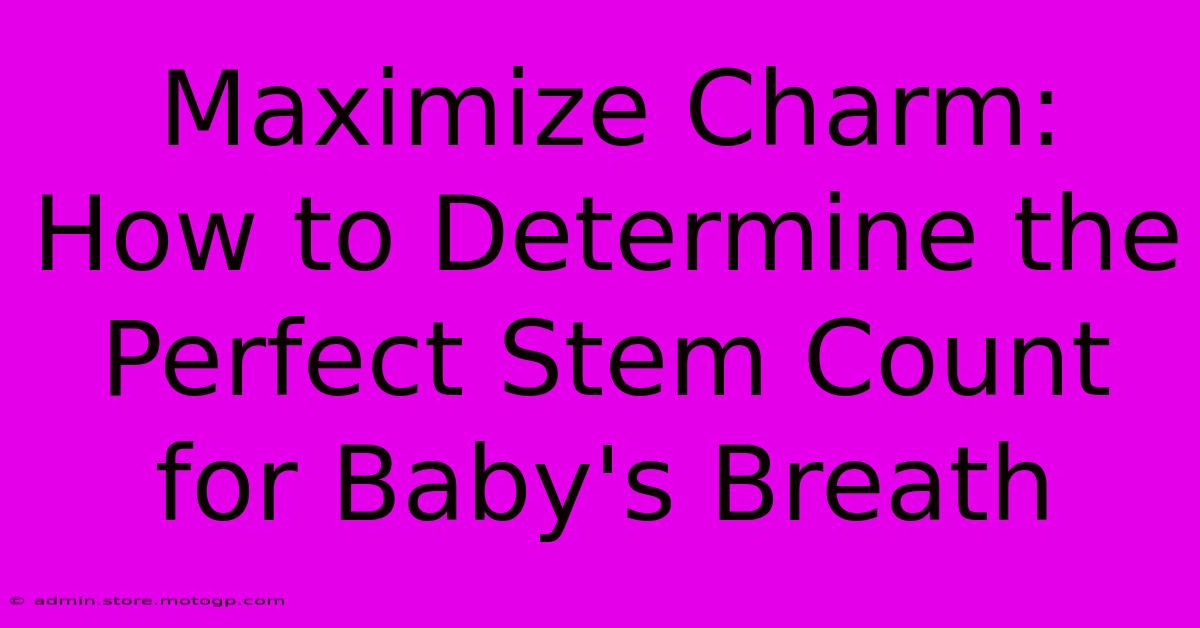 Maximize Charm: How To Determine The Perfect Stem Count For Baby's Breath