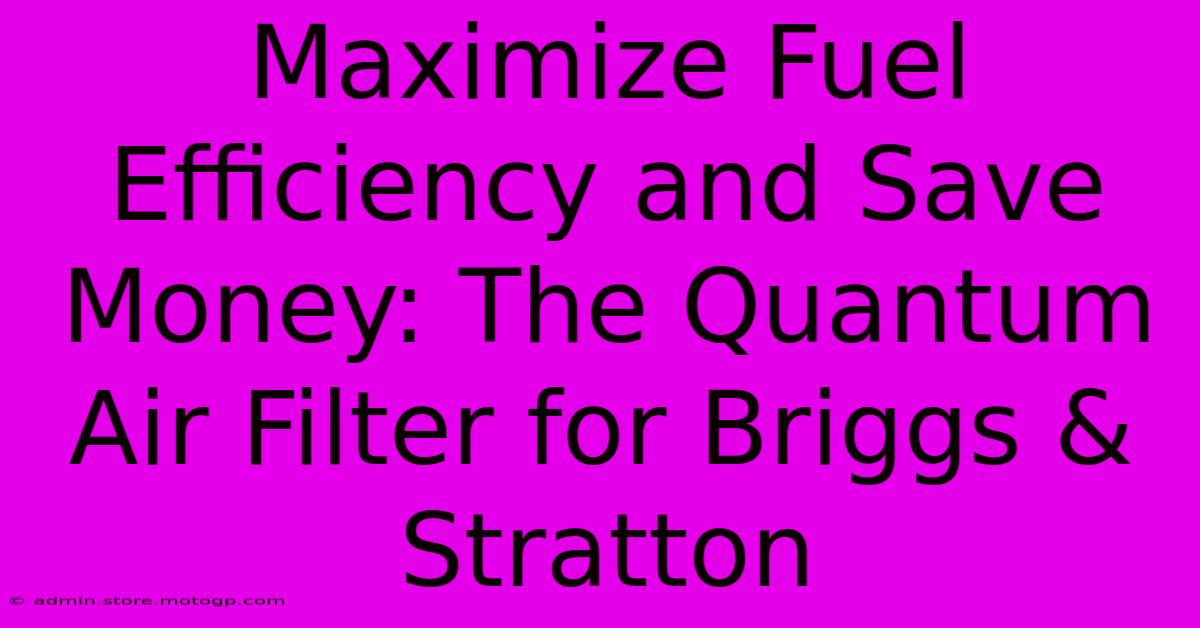 Maximize Fuel Efficiency And Save Money: The Quantum Air Filter For Briggs & Stratton