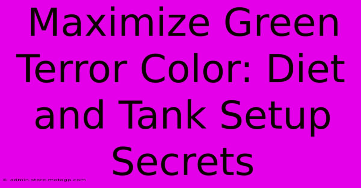 Maximize Green Terror Color: Diet And Tank Setup Secrets