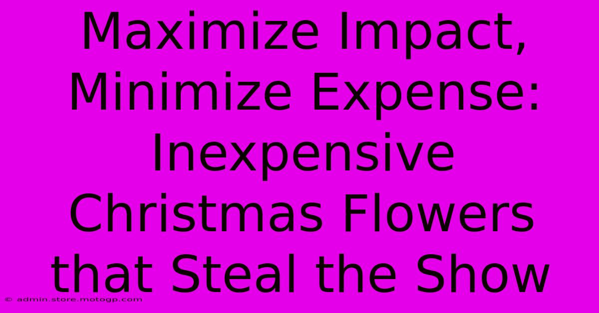 Maximize Impact, Minimize Expense: Inexpensive Christmas Flowers That Steal The Show