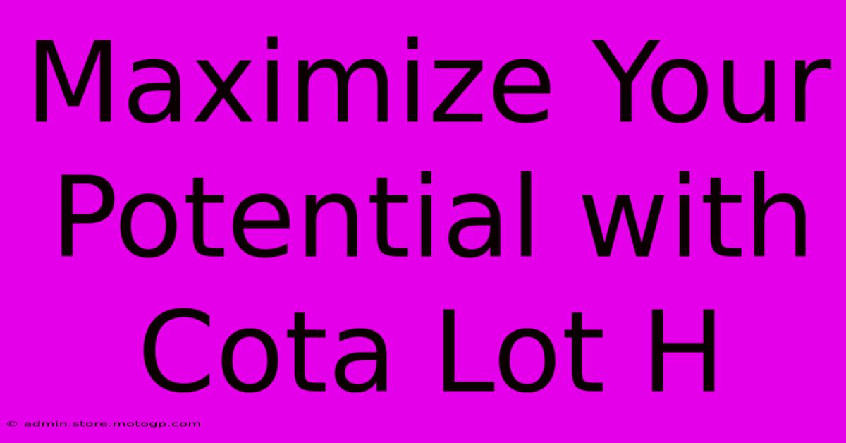 Maximize Your Potential With Cota Lot H