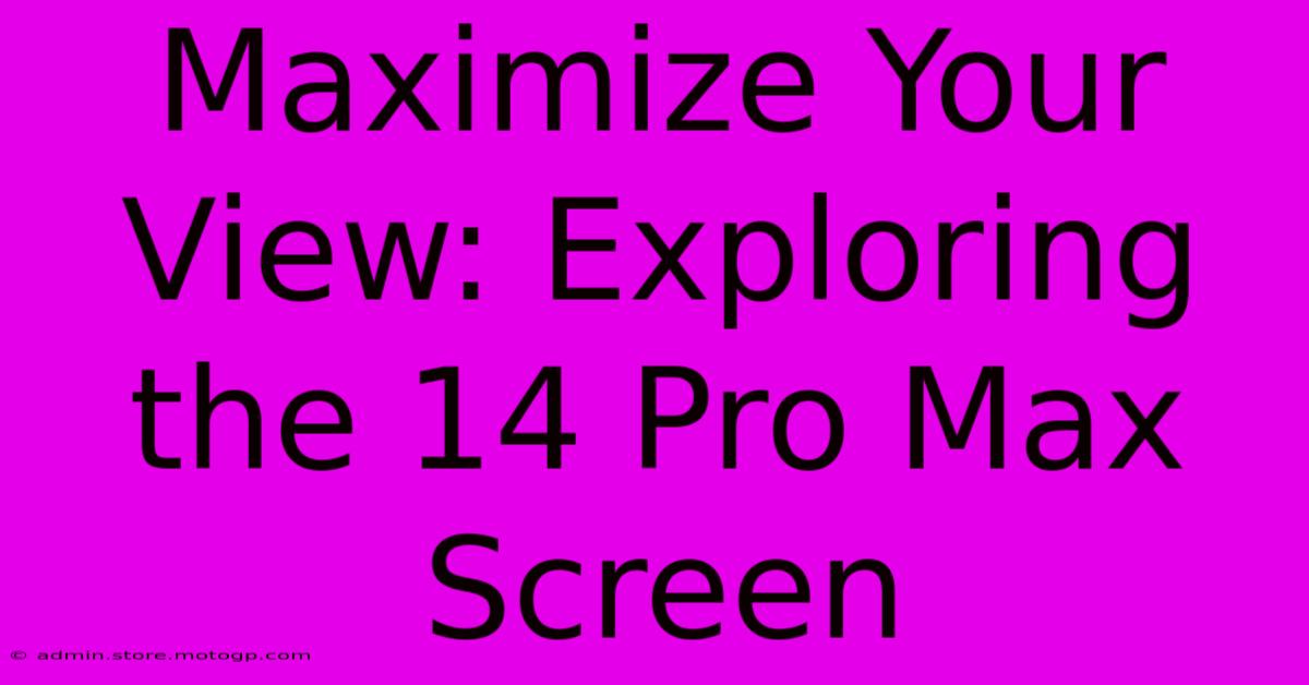 Maximize Your View: Exploring The 14 Pro Max Screen