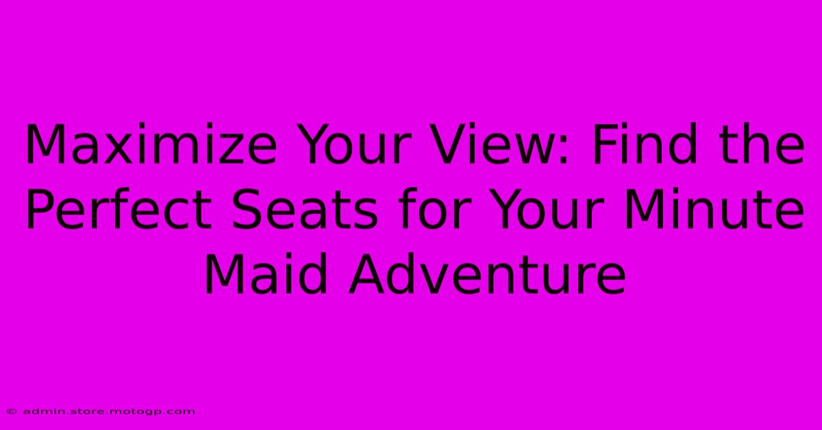 Maximize Your View: Find The Perfect Seats For Your Minute Maid Adventure