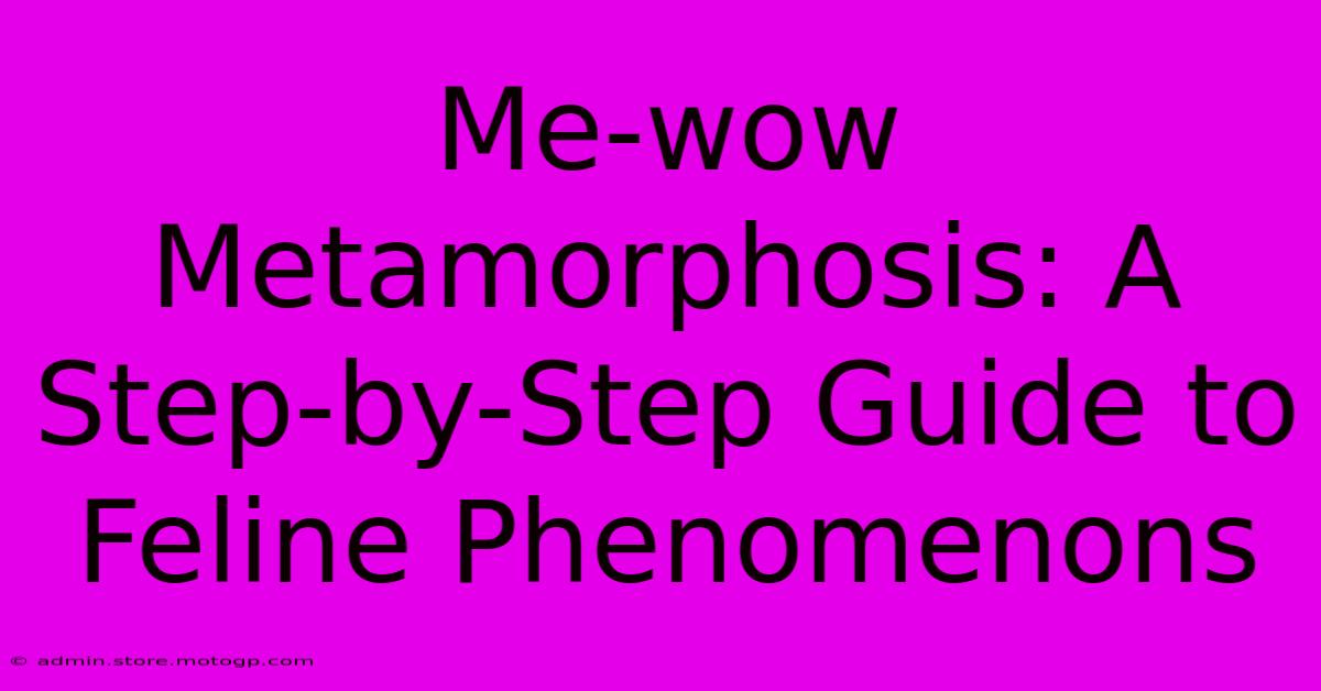 Me-wow Metamorphosis: A Step-by-Step Guide To Feline Phenomenons