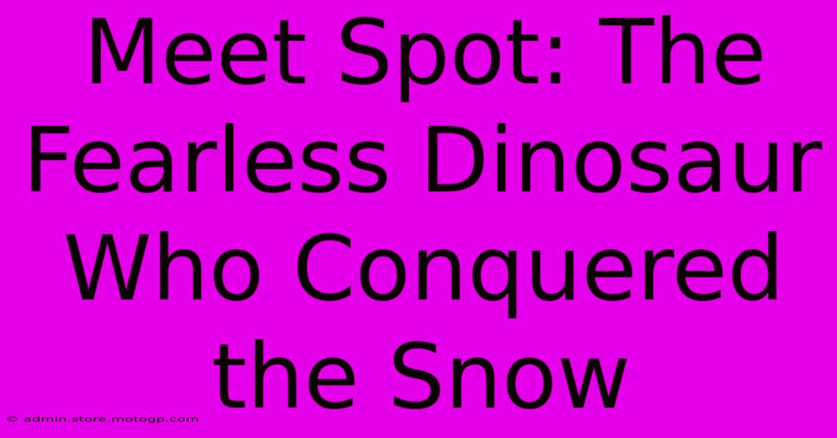 Meet Spot: The Fearless Dinosaur Who Conquered The Snow