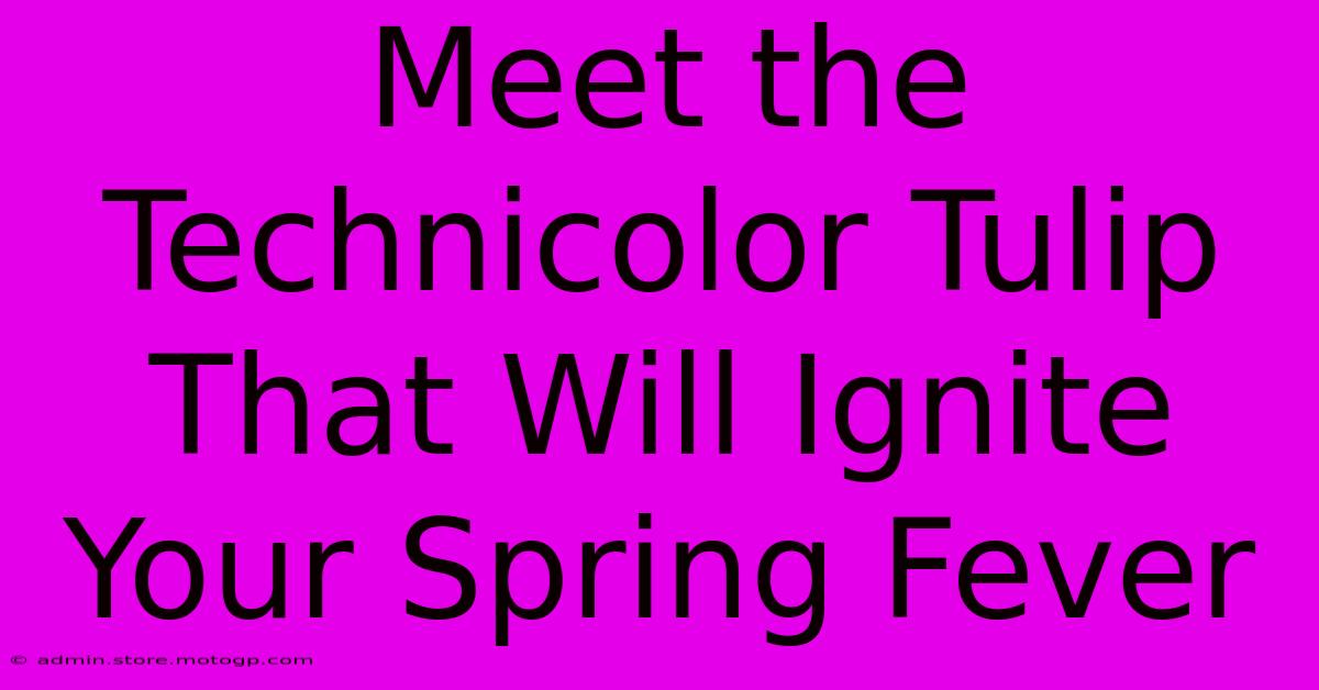 Meet The Technicolor Tulip That Will Ignite Your Spring Fever