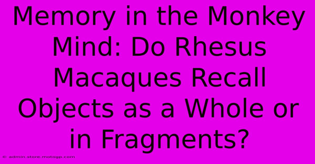 Memory In The Monkey Mind: Do Rhesus Macaques Recall Objects As A Whole Or In Fragments?