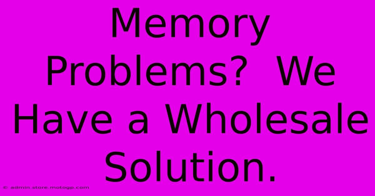 Memory Problems?  We Have A Wholesale Solution.