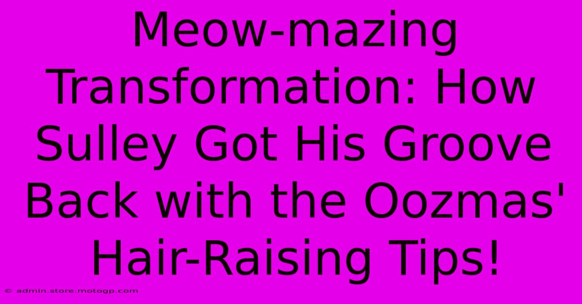 Meow-mazing Transformation: How Sulley Got His Groove Back With The Oozmas' Hair-Raising Tips!