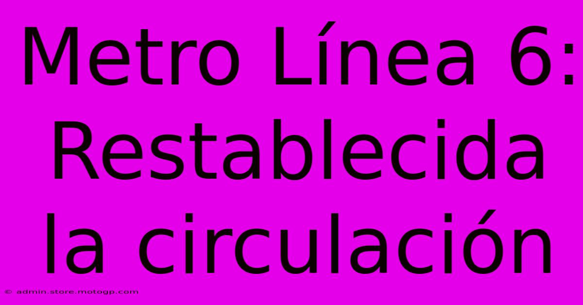 Metro Línea 6: Restablecida La Circulación