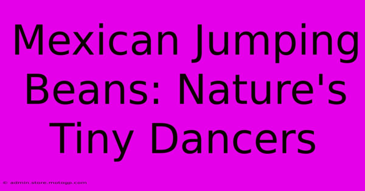 Mexican Jumping Beans: Nature's Tiny Dancers