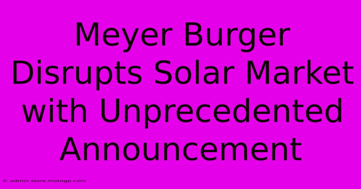 Meyer Burger Disrupts Solar Market With Unprecedented Announcement