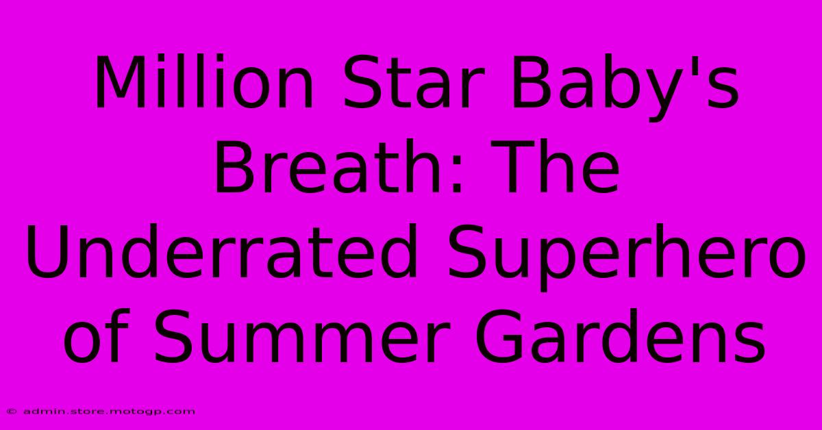 Million Star Baby's Breath: The Underrated Superhero Of Summer Gardens